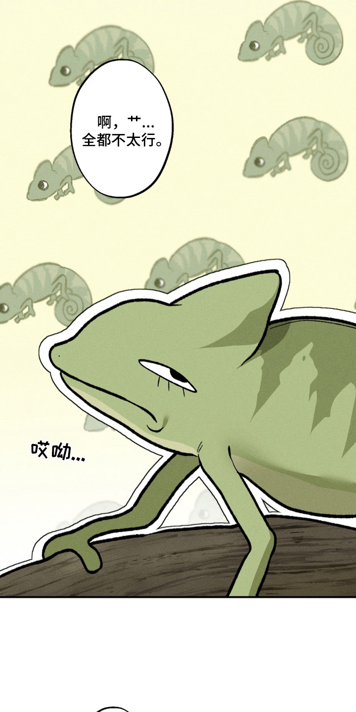 我的爬虫君漫画,第4章：蜜瓜3图
