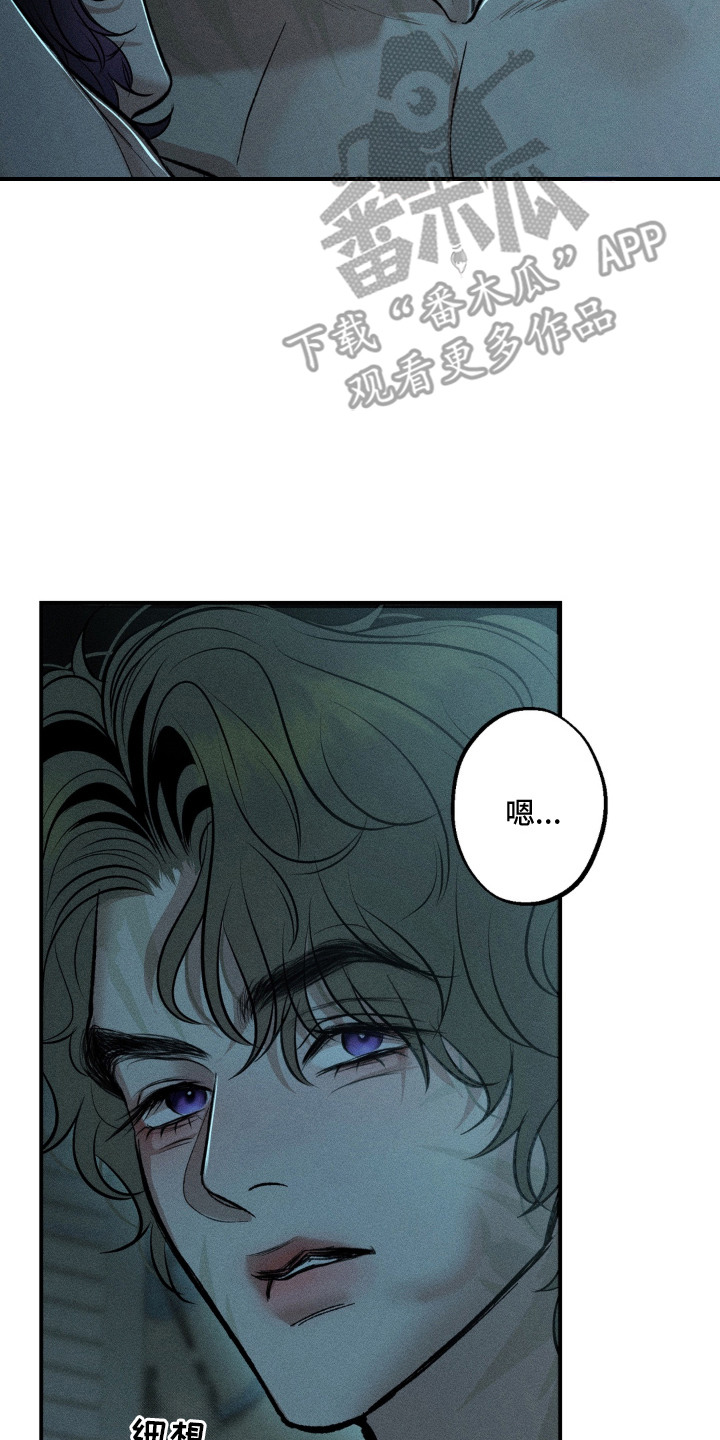 我的爬虫君漫画,第6章：什么都敢说3图