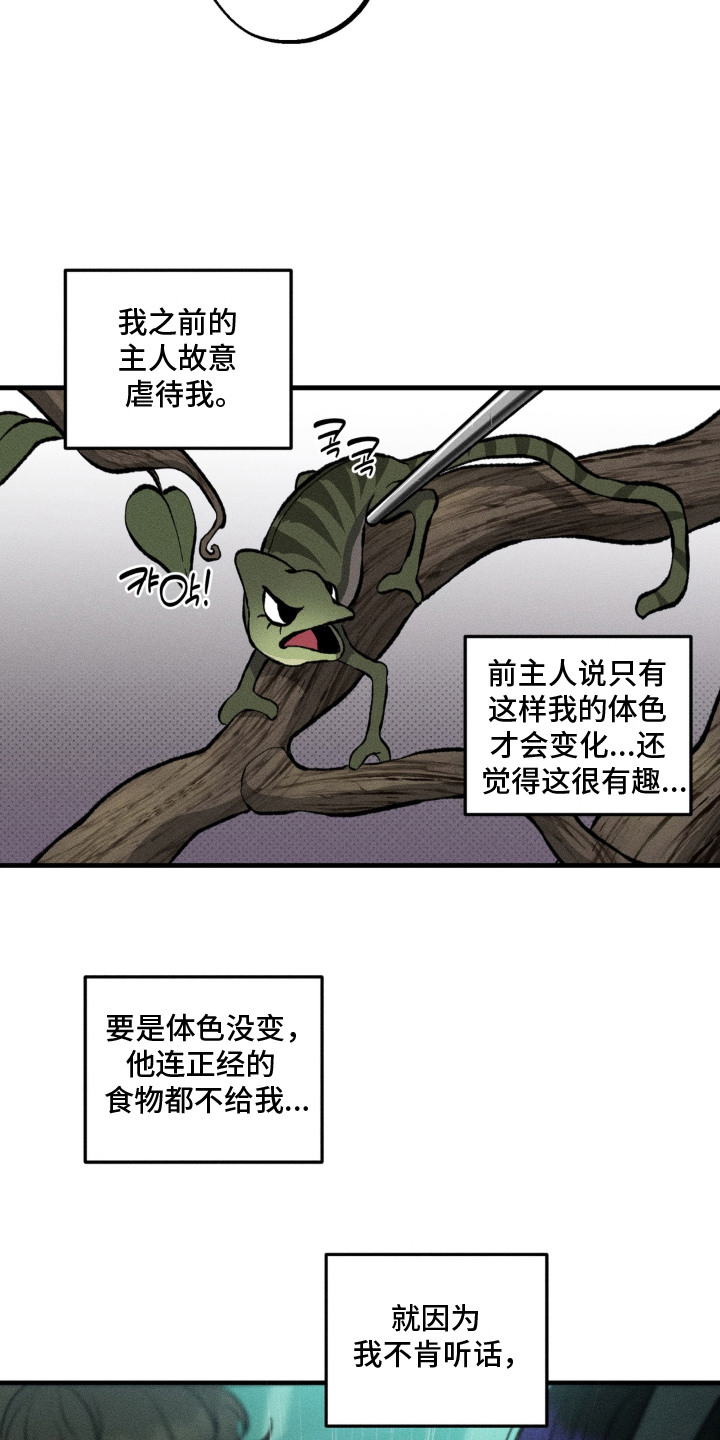 我的爬虫君漫画,第12章：决定收养3图