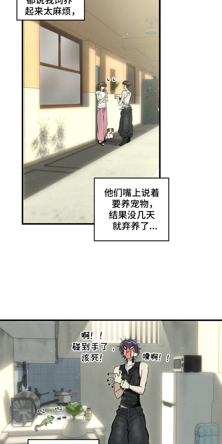 我的爬虫君漫画,第12章：决定收养1图
