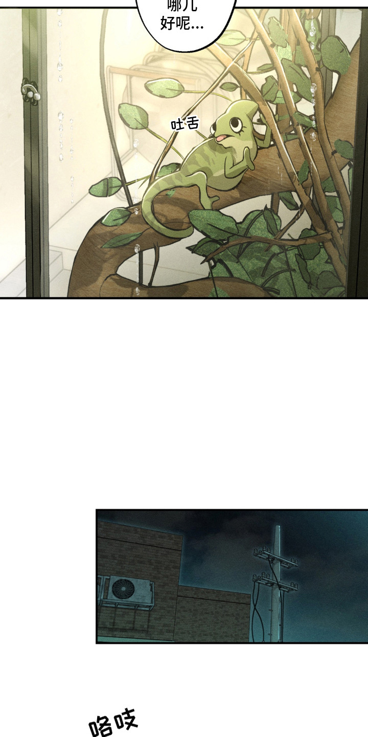 我的爬虫君漫画,第3章：怪梦3图