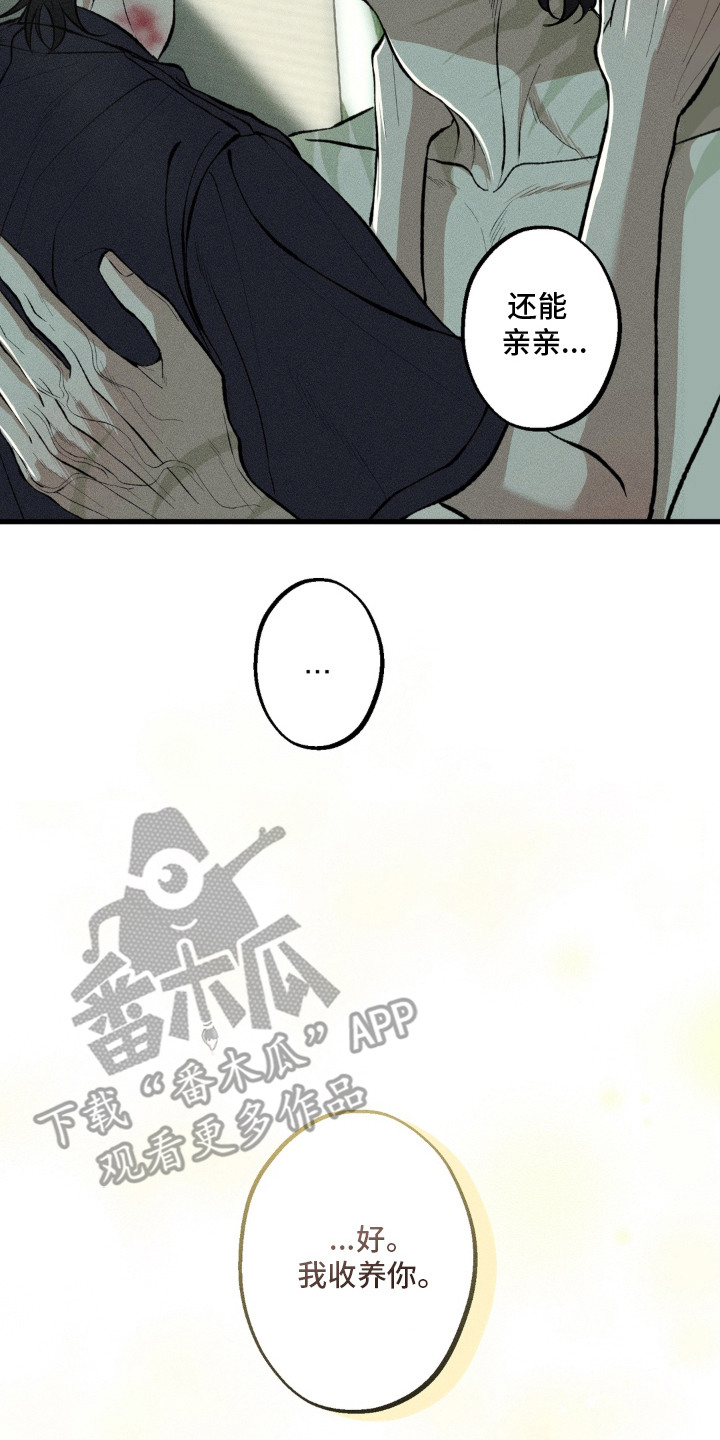 我的爬虫君漫画,第12章：决定收养4图