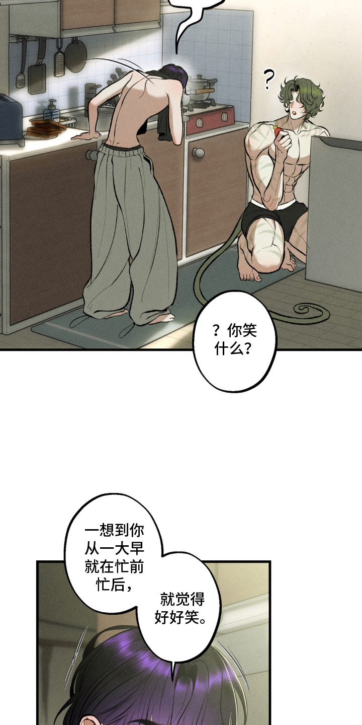 我的爬虫君漫画,第13章：忙前忙后1图
