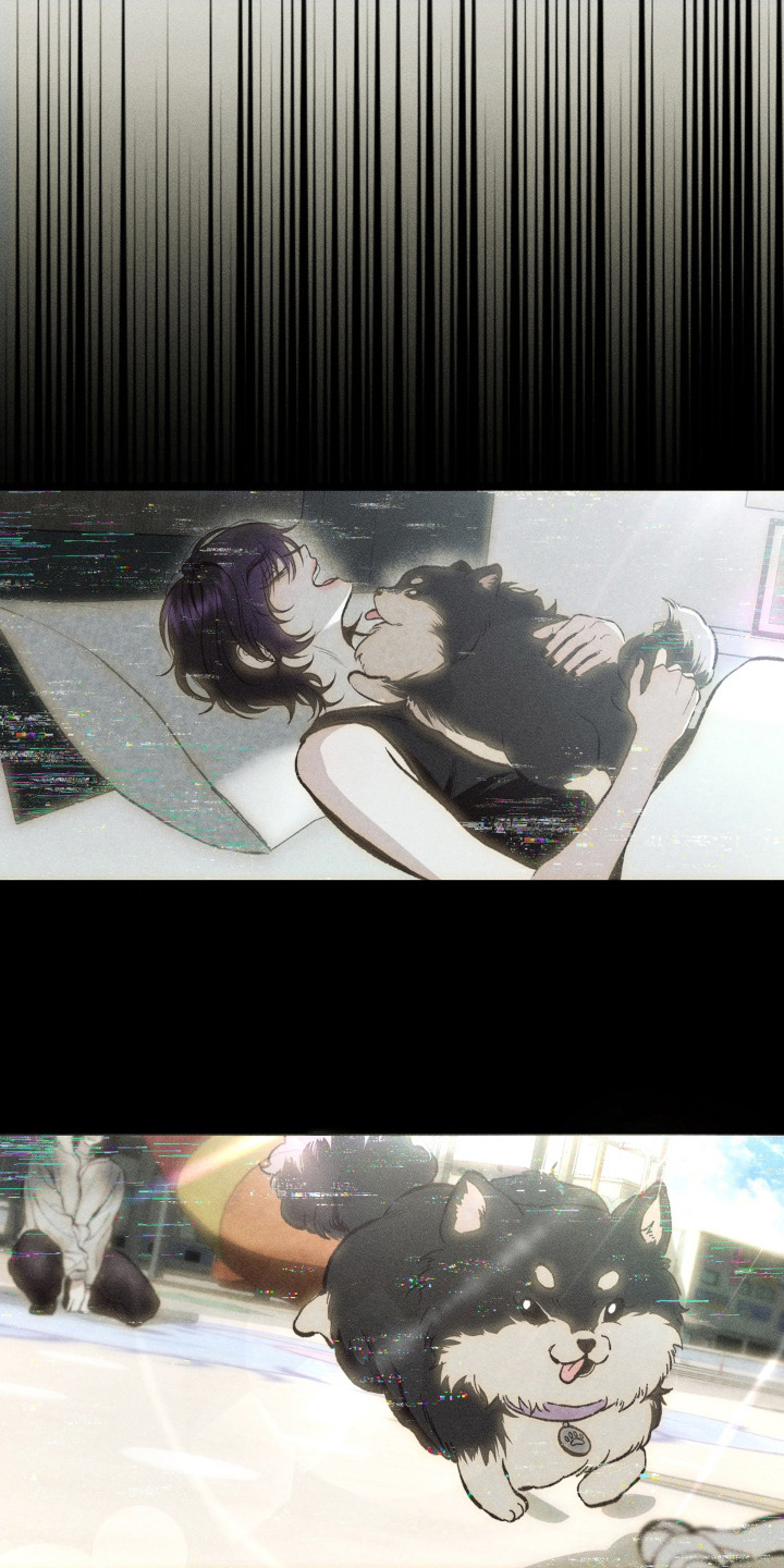 我的爬虫君漫画,第11章：不会离开5图