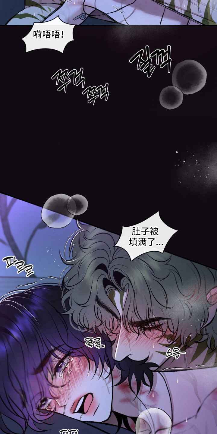 我的爬虫君漫画,第10章：再一次5图