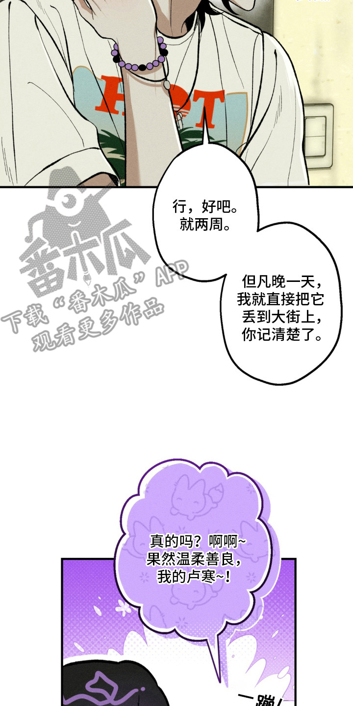 我的爬虫君漫画,第3章：怪梦2图