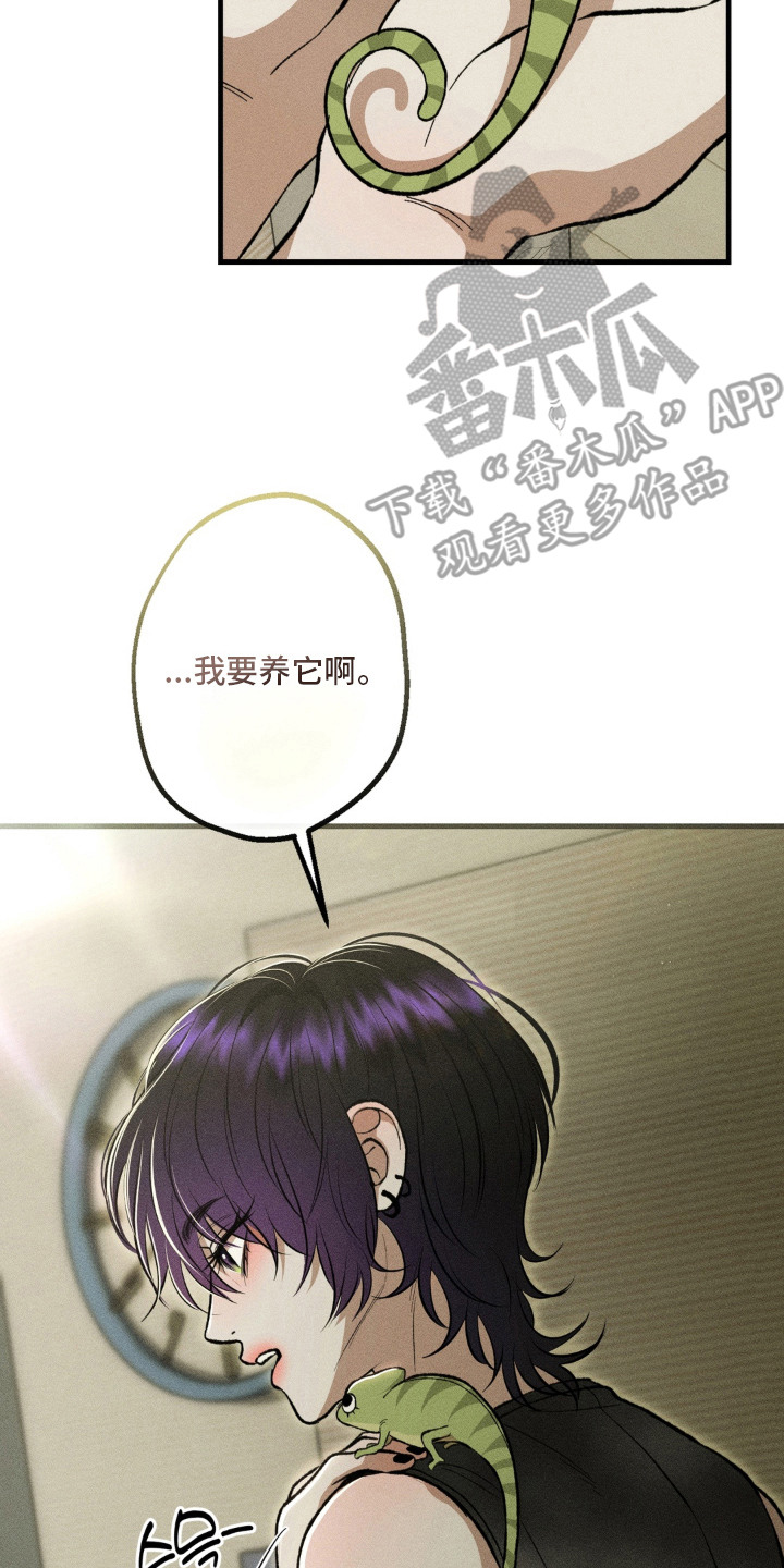 我的爬虫君漫画,第16章：心软3图