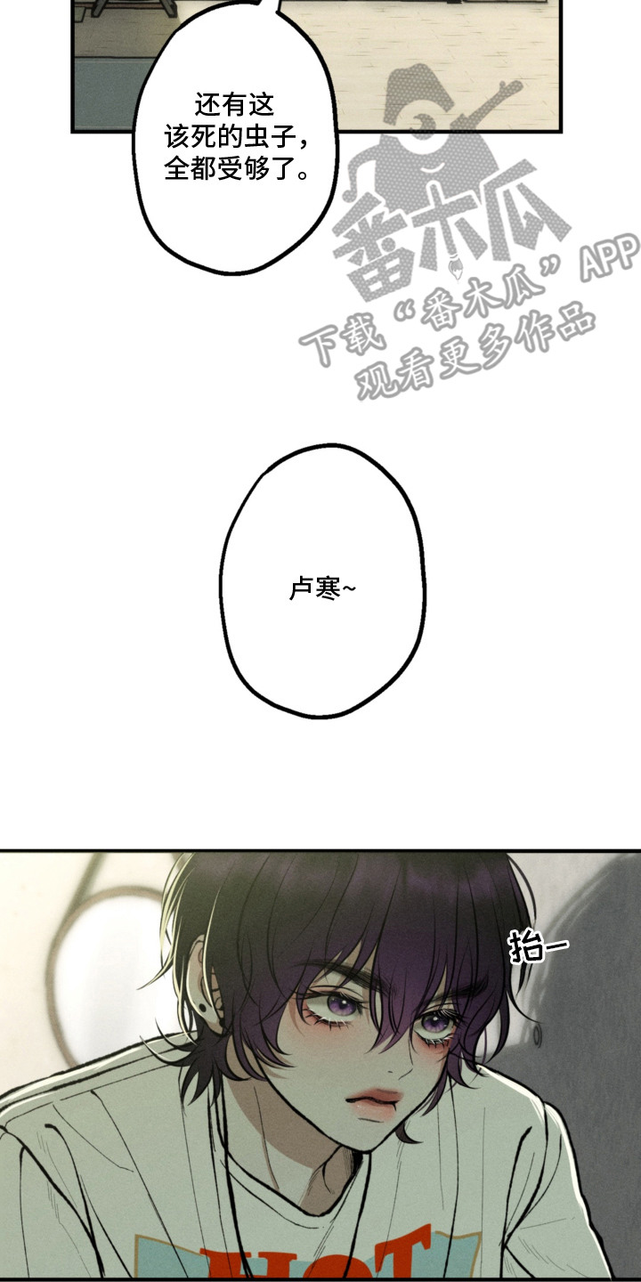 我的爬虫君漫画,第2章：求助5图