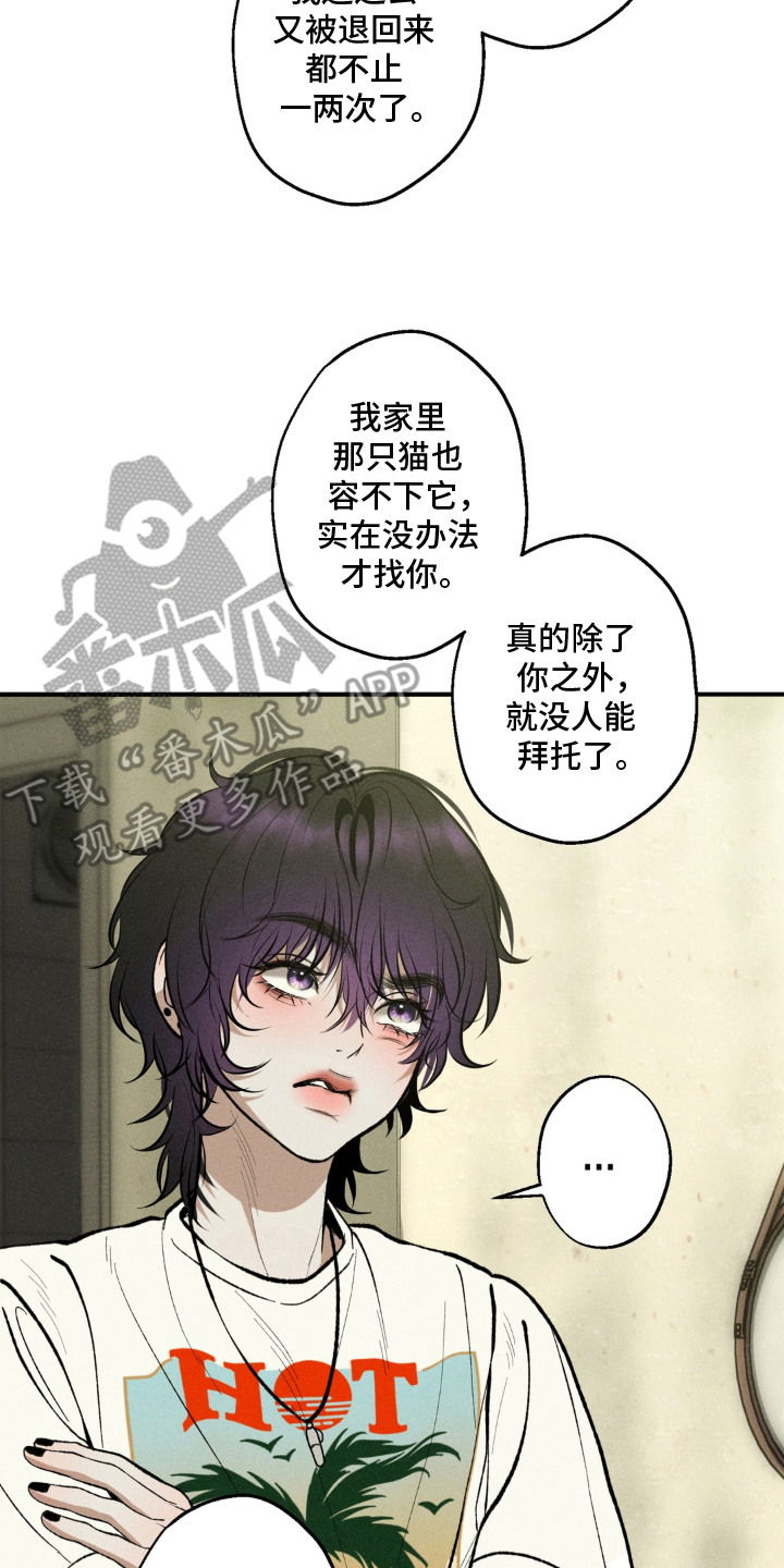 我的爬虫君漫画,第2章：求助3图