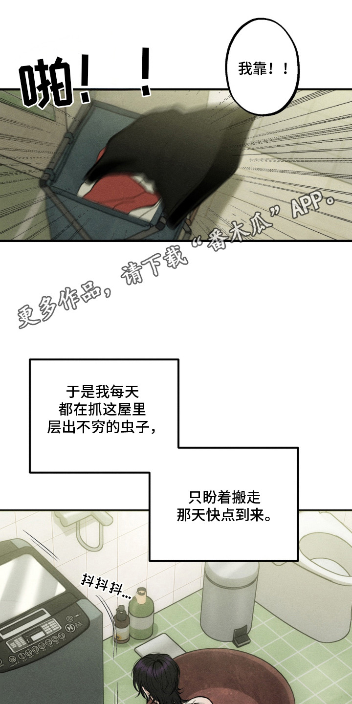 我的爬虫君漫画,第2章：求助1图