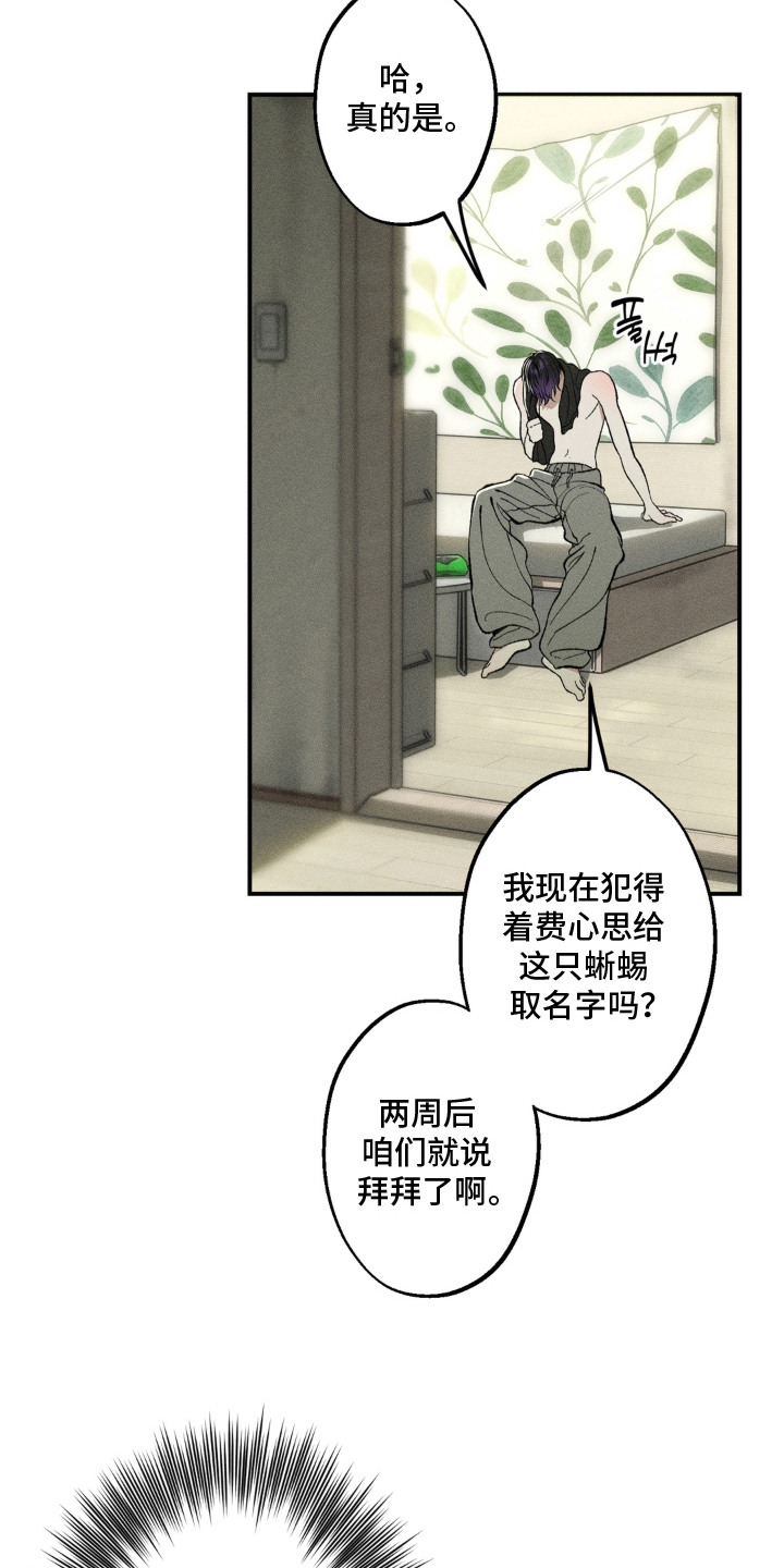我的爬虫君漫画,第4章：蜜瓜2图