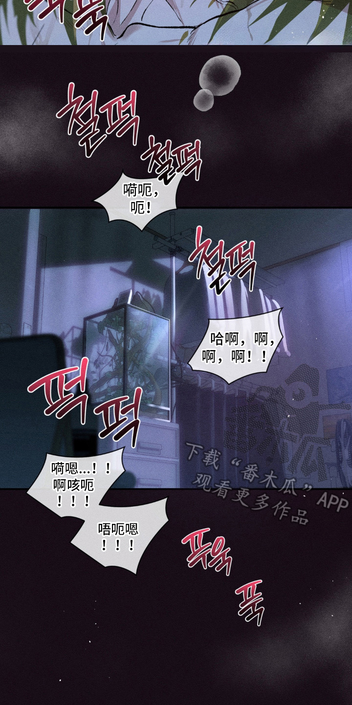 我的爬虫君漫画,第10章：再一次5图
