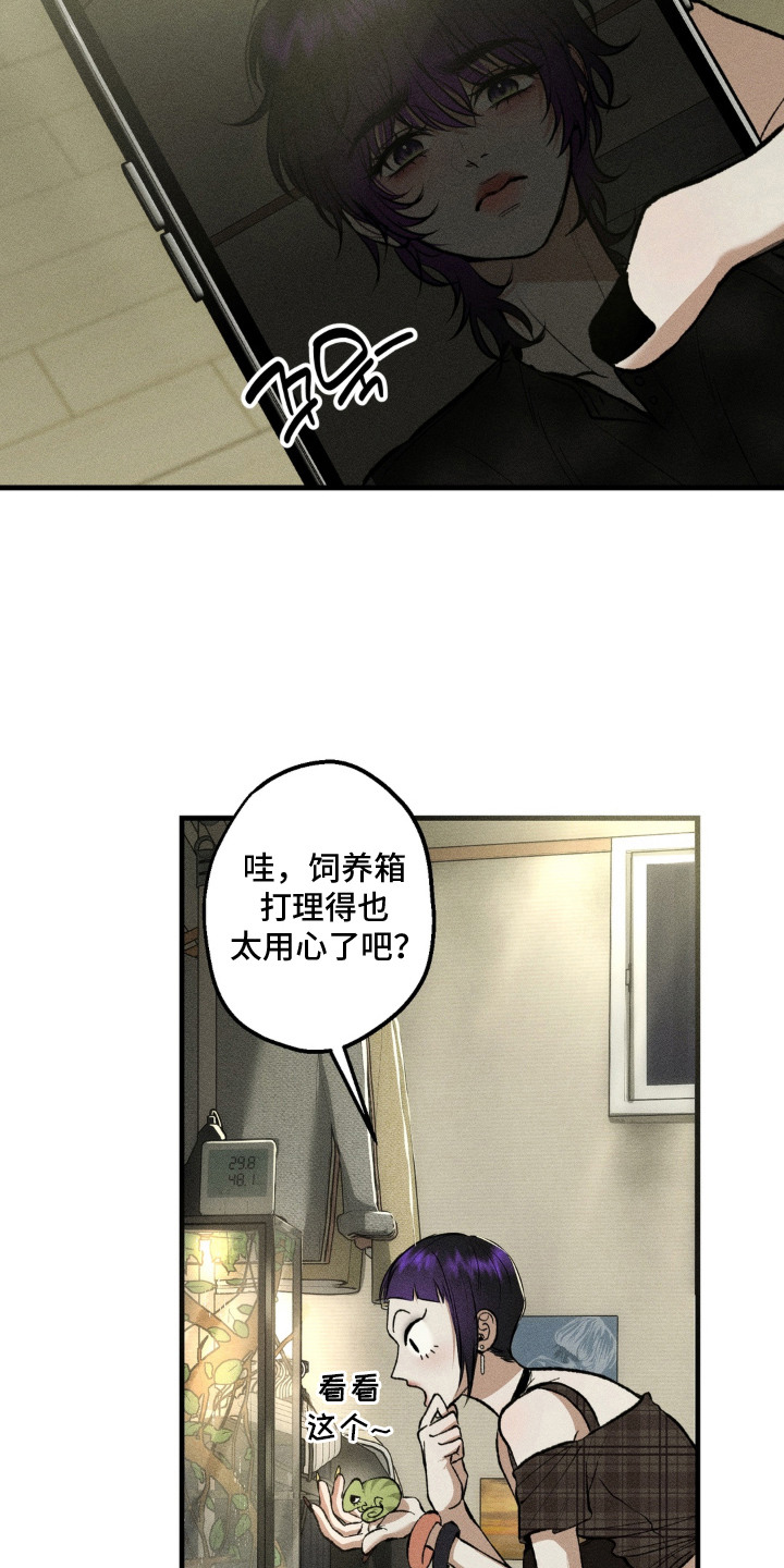我的爬虫君漫画,第16章：心软3图