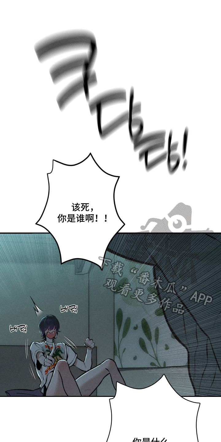 我的爬虫君漫画,第4章：蜜瓜3图