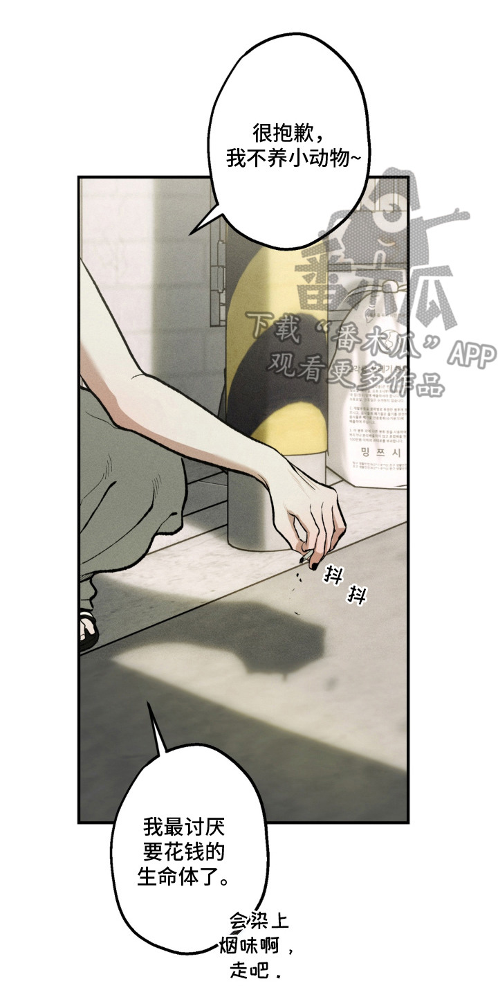 我的爬虫君漫画,第1章：拮据2图