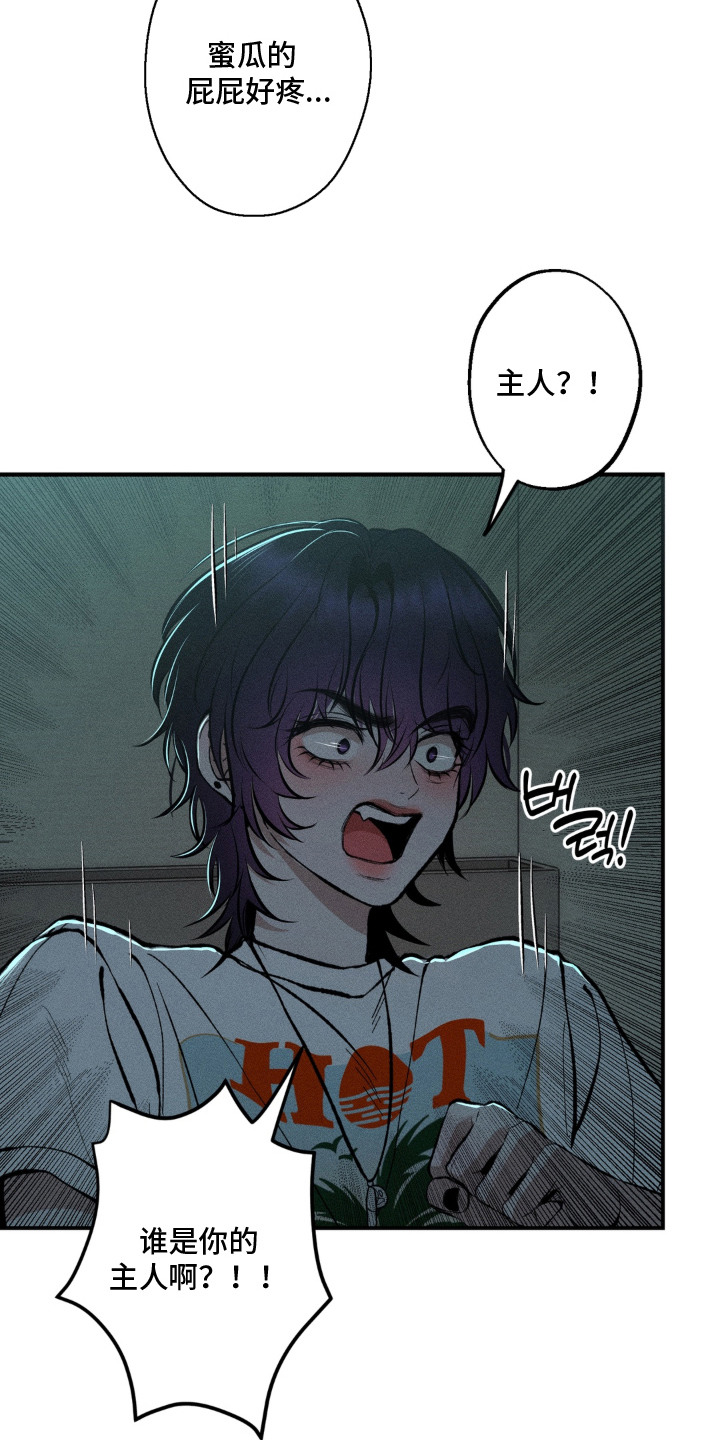 我的爬虫君漫画,第4章：蜜瓜5图