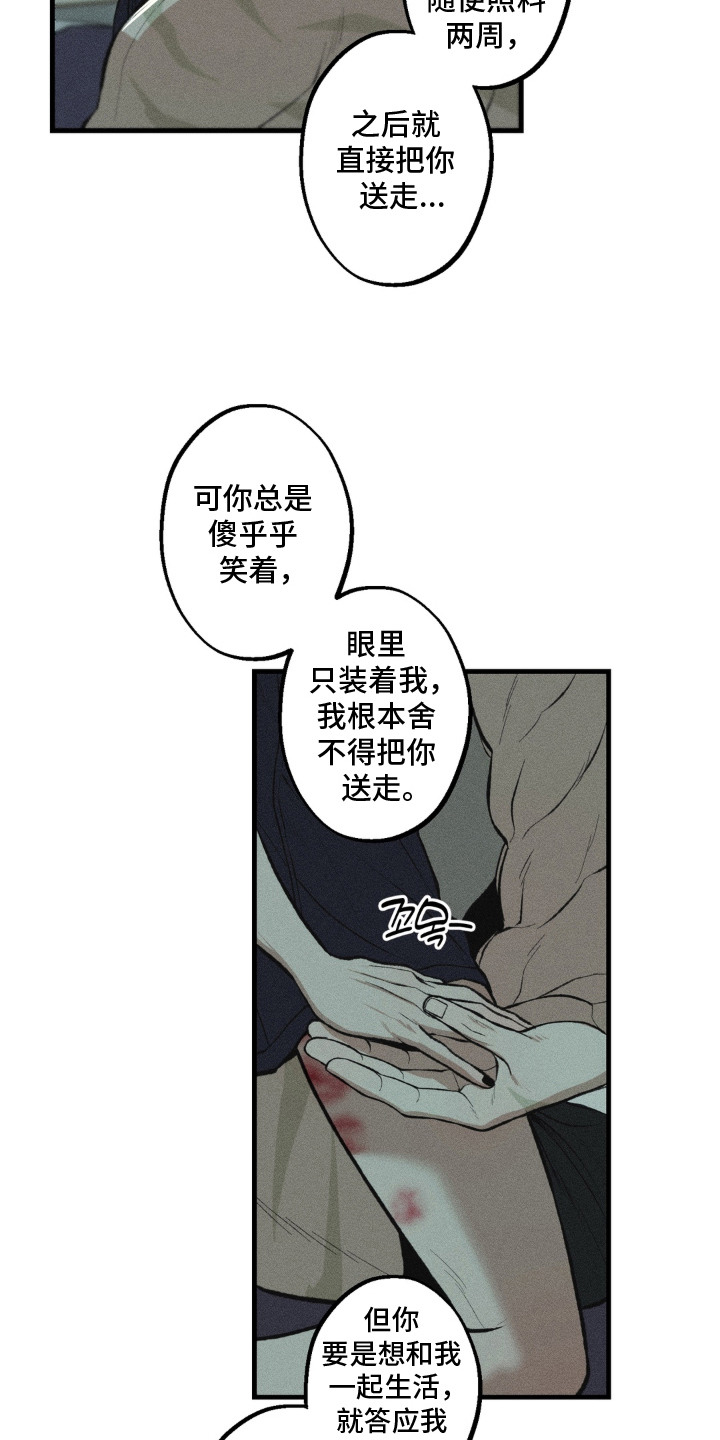 我的爬虫君漫画,第12章：决定收养2图
