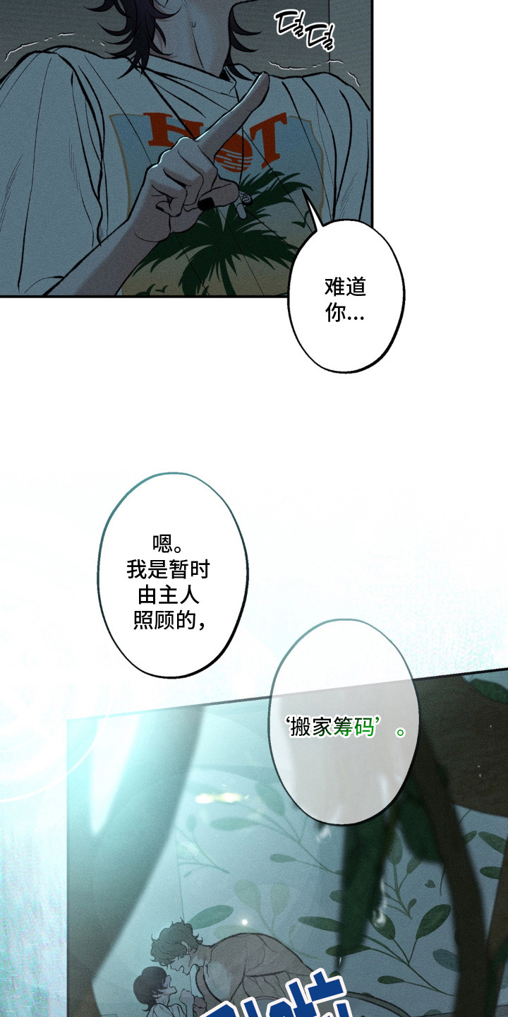 我的爬虫君漫画,第5章：搬家筹码5图
