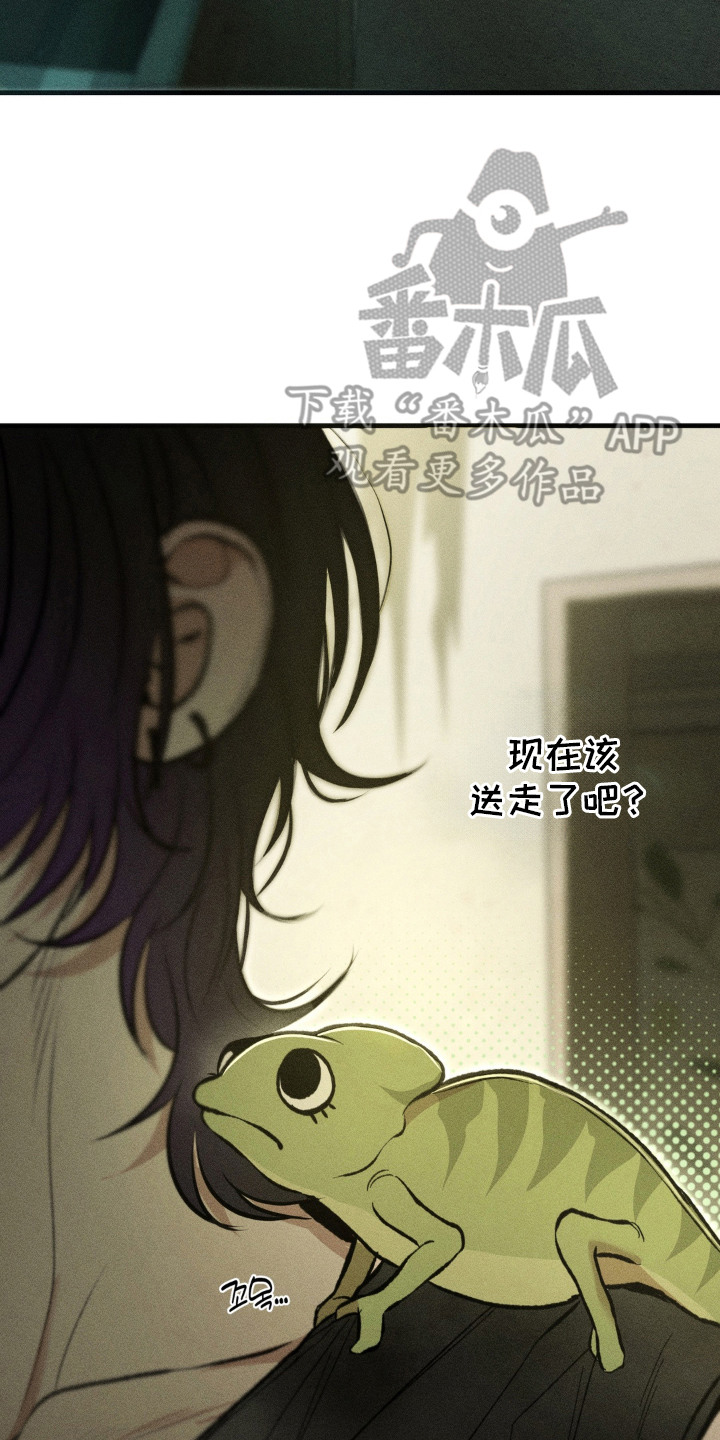 我的爬虫君漫画,第15章：来接它4图