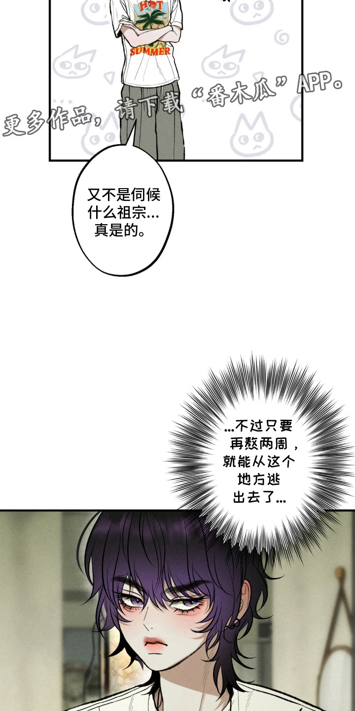 我的爬虫君漫画,第3章：怪梦1图