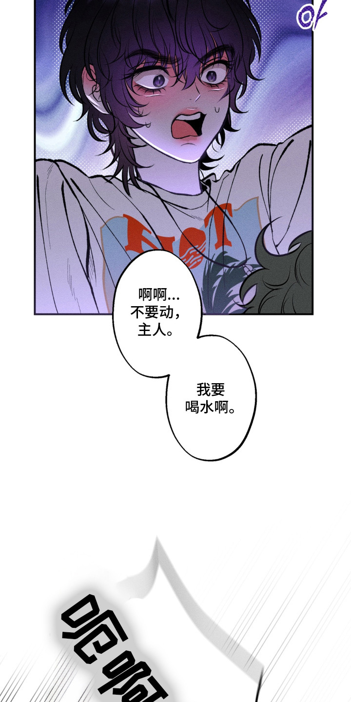 我的爬虫君漫画,第4章：蜜瓜1图