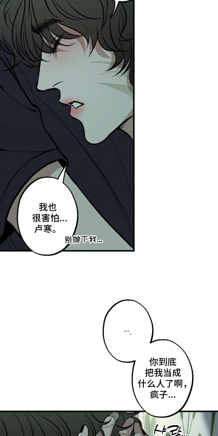 我的爬虫君漫画,第12章：决定收养5图