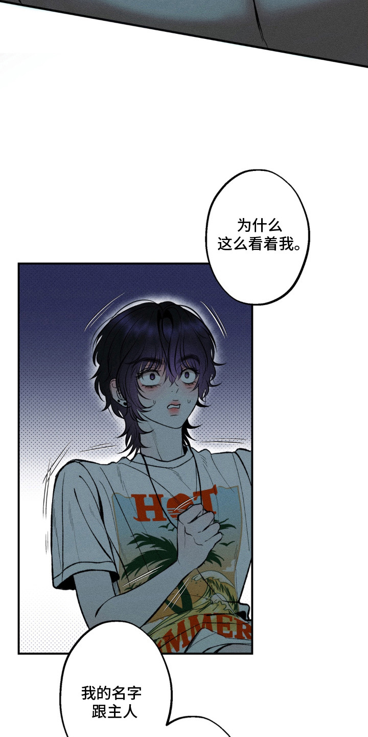 我的爬虫君漫画,第5章：搬家筹码3图