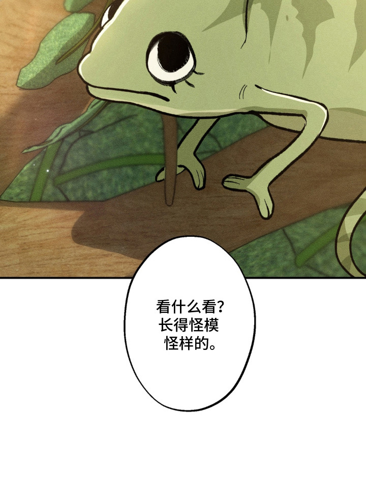 我的爬虫君漫画,第3章：怪梦5图