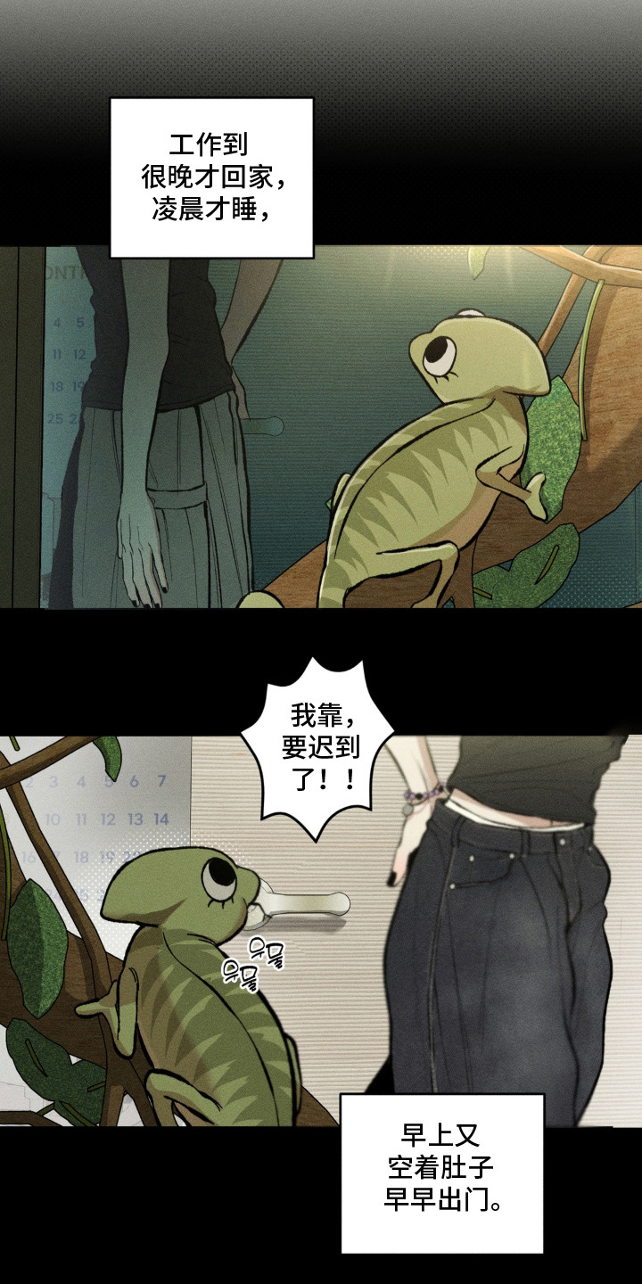 我的爬虫君漫画,第11章：不会离开3图
