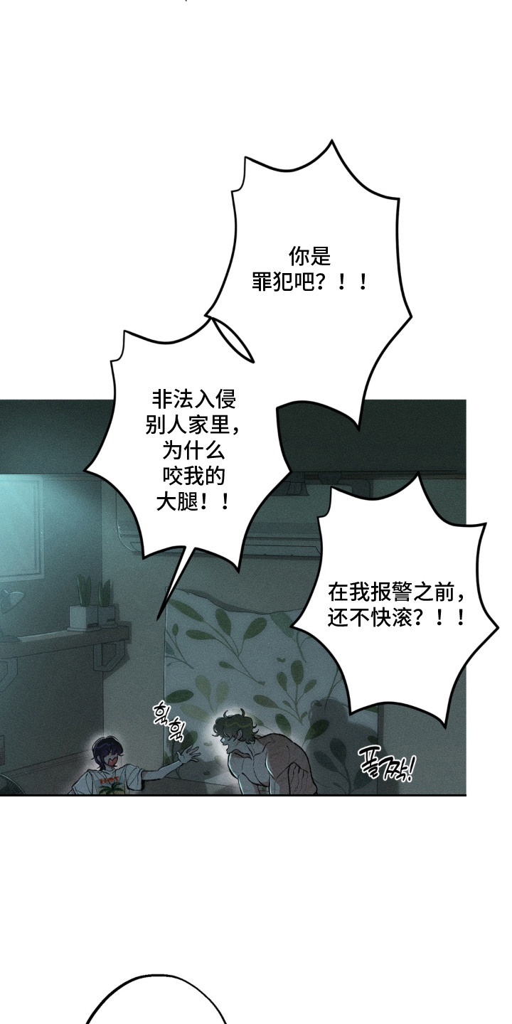 我的爬虫君漫画,第4章：蜜瓜1图
