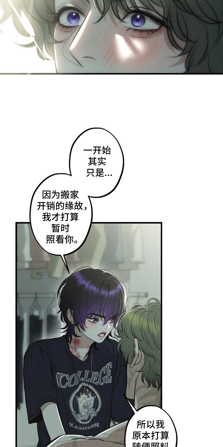 我的爬虫君漫画,第12章：决定收养1图