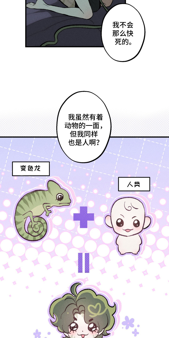 我的爬虫君漫画,第11章：不会离开5图