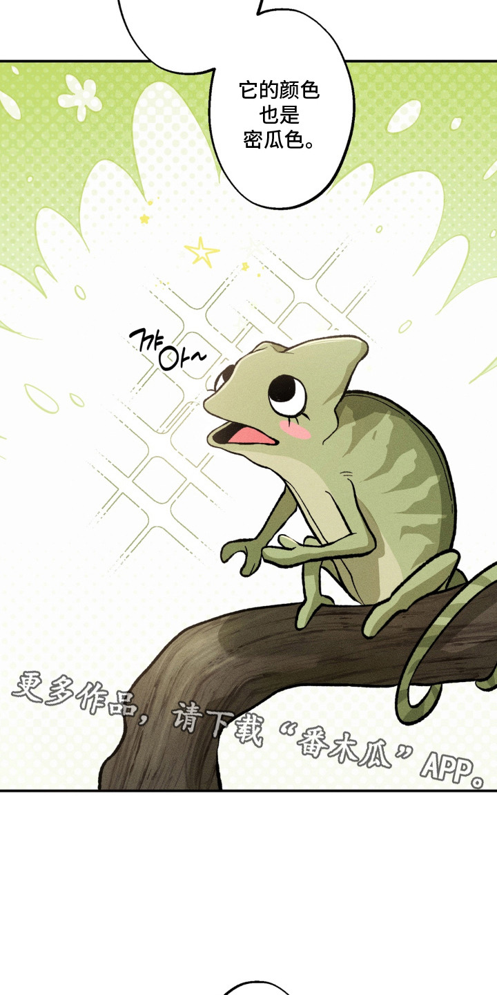 我的爬虫君漫画,第4章：蜜瓜1图