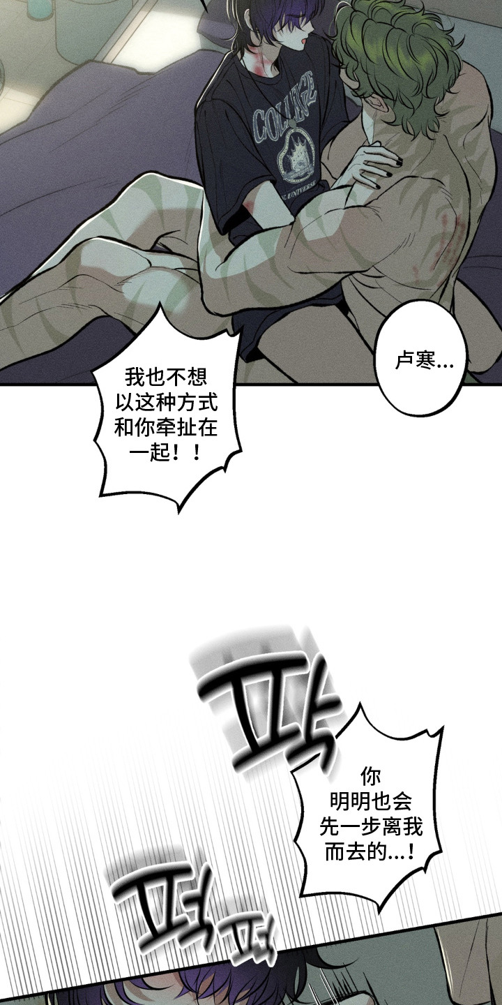 我的爬虫君漫画,第11章：不会离开1图
