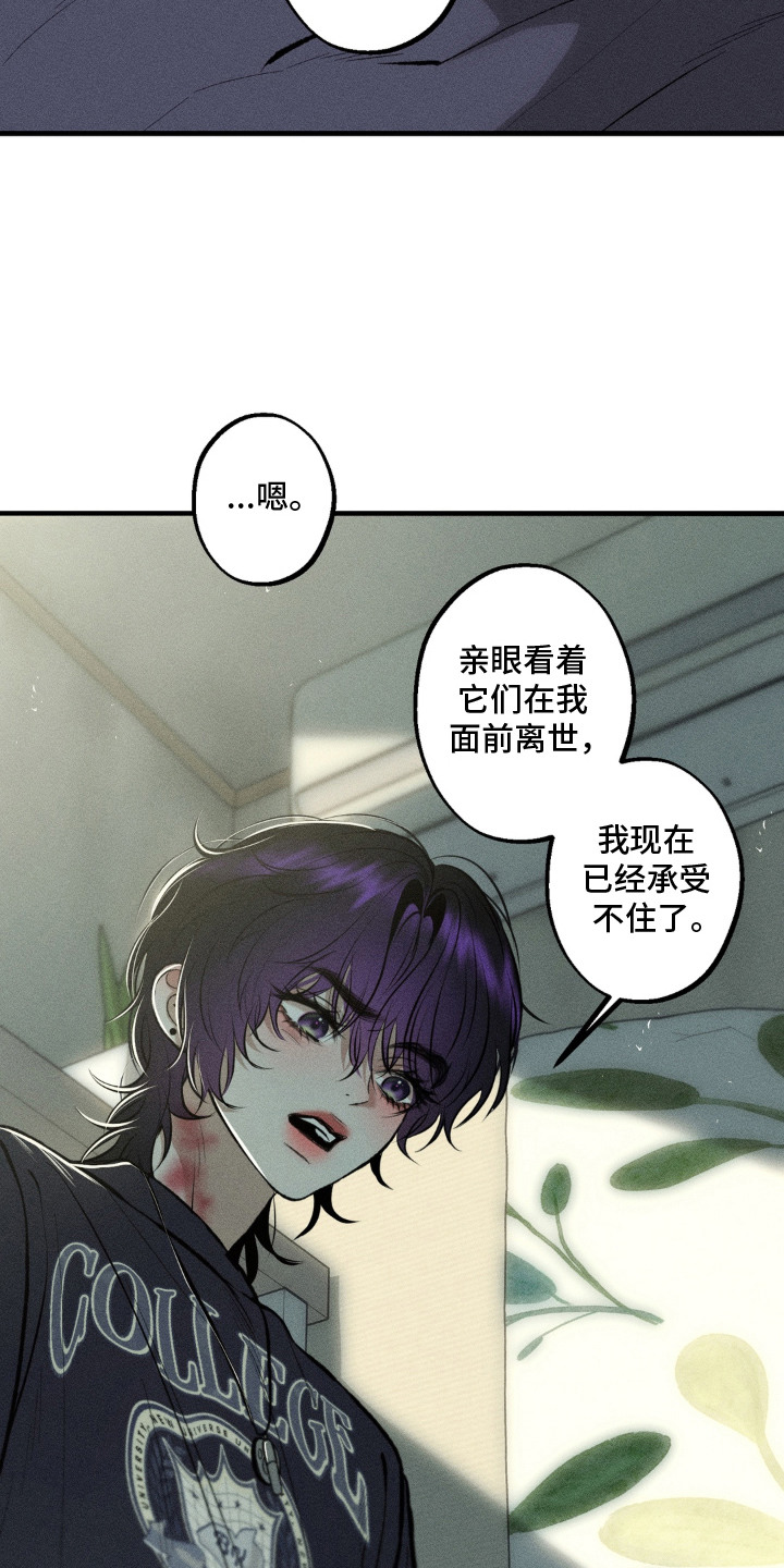 我的爬虫君漫画,第11章：不会离开4图
