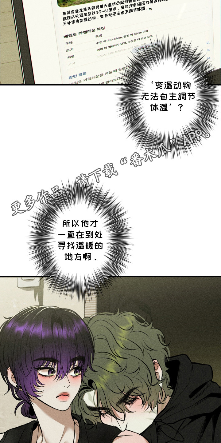 我的爬虫君漫画,第15章：来接它5图