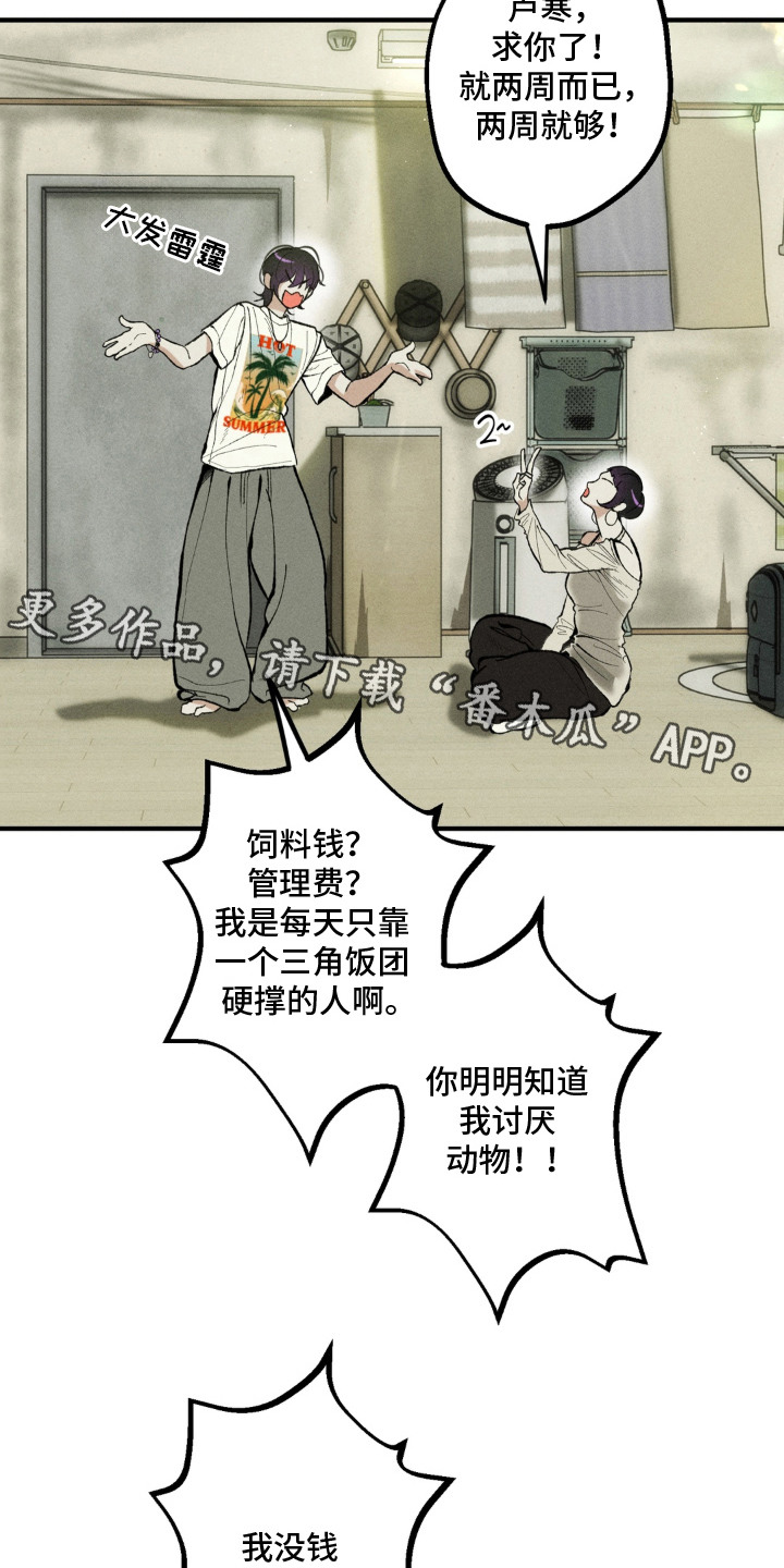我的爬虫君漫画,第2章：求助4图