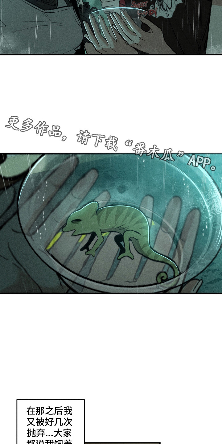 我的爬虫君漫画,第12章：决定收养5图