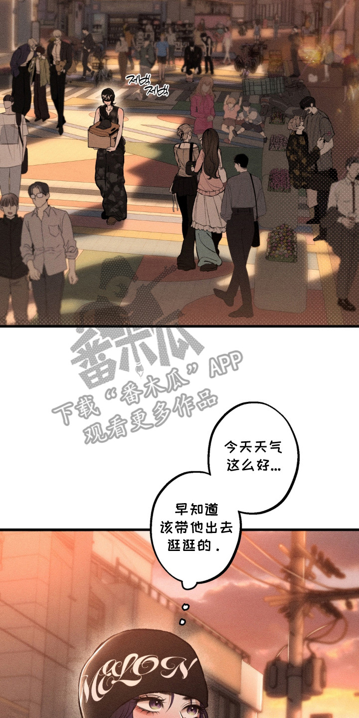 我的爬虫君漫画,第13章：忙前忙后3图
