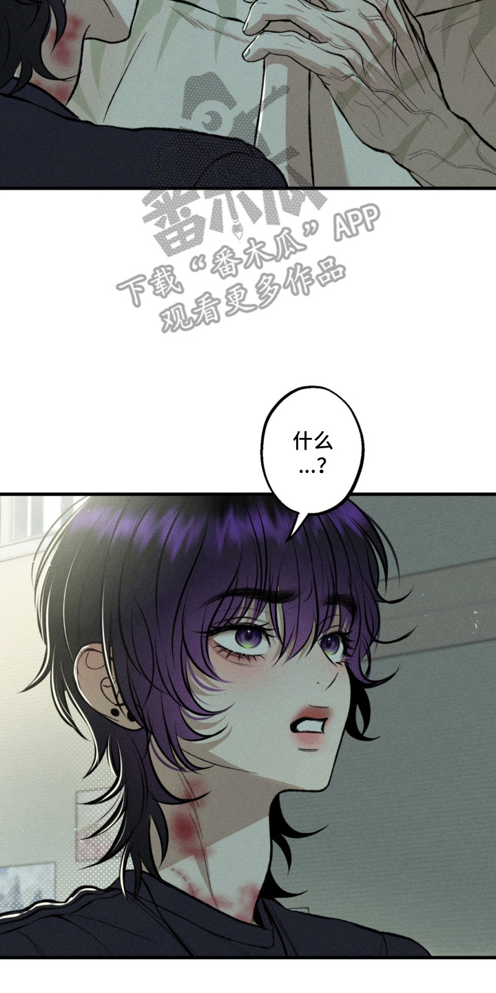 我的爬虫君漫画,第12章：决定收养3图