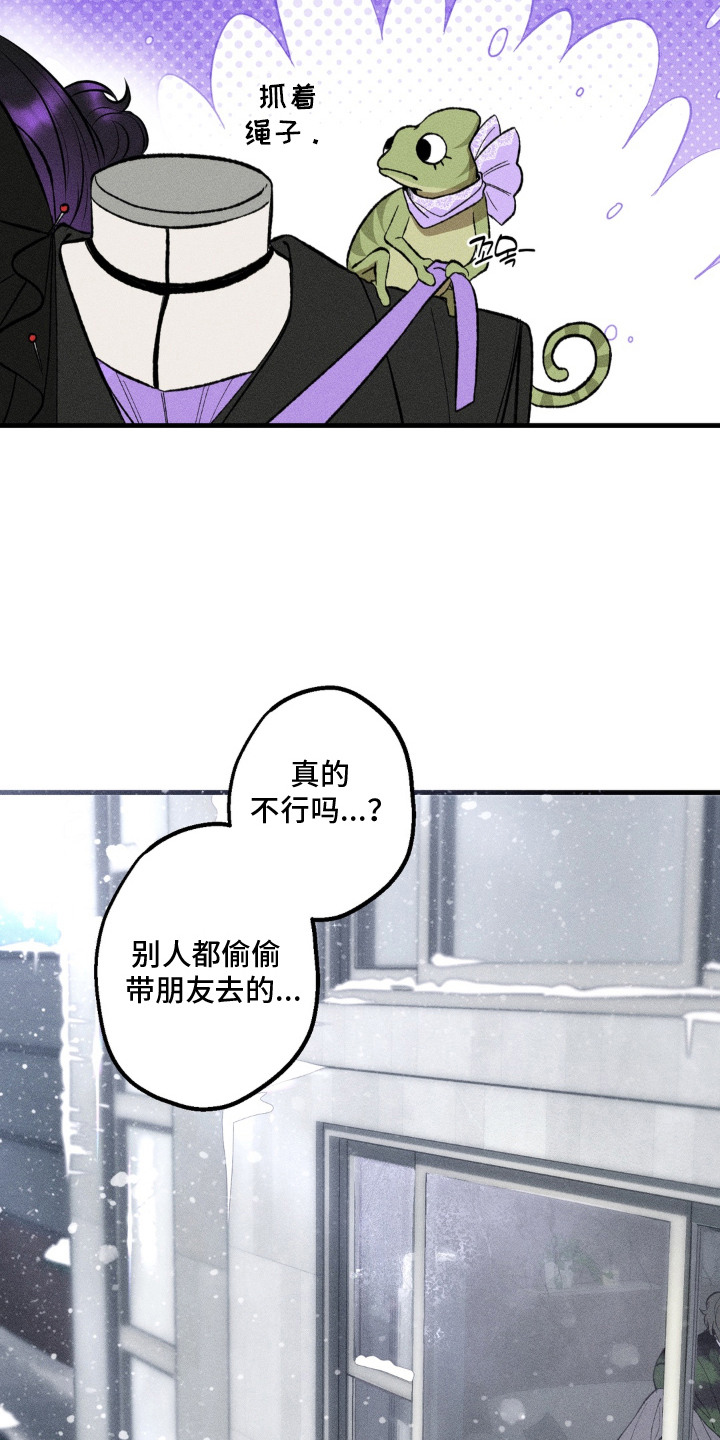 我的爬虫君漫画,第17章：最珍贵之人（完结）3图