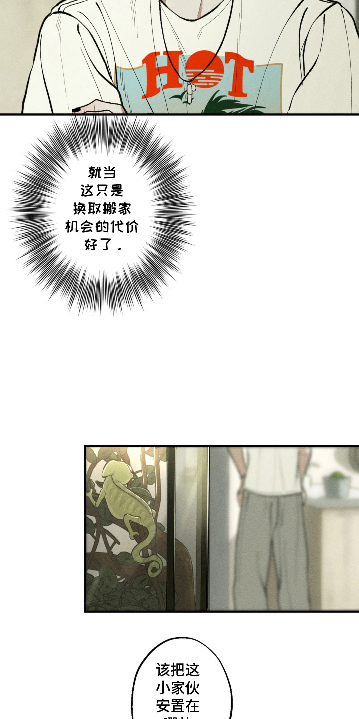 我的爬虫君漫画,第3章：怪梦2图