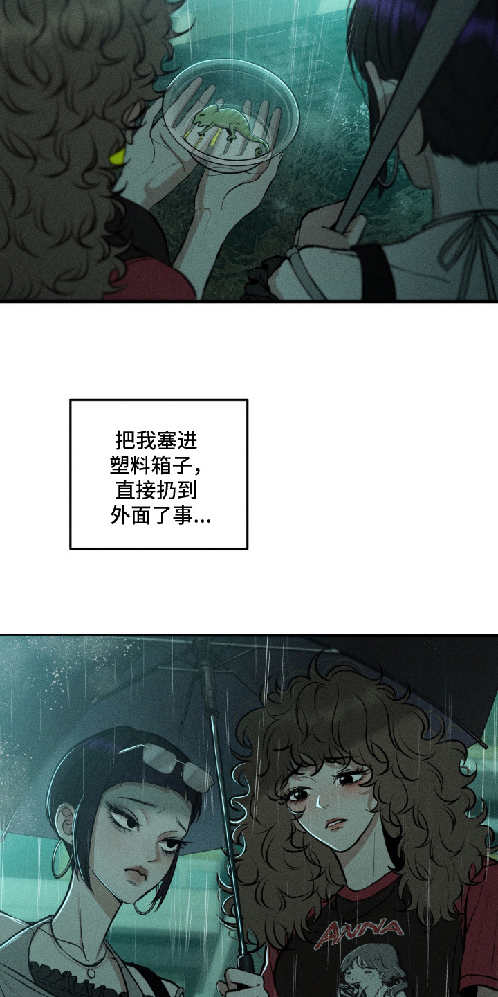 我的爬虫君漫画,第12章：决定收养4图