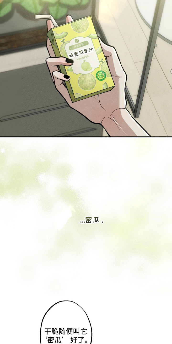 我的爬虫君漫画,第4章：蜜瓜5图