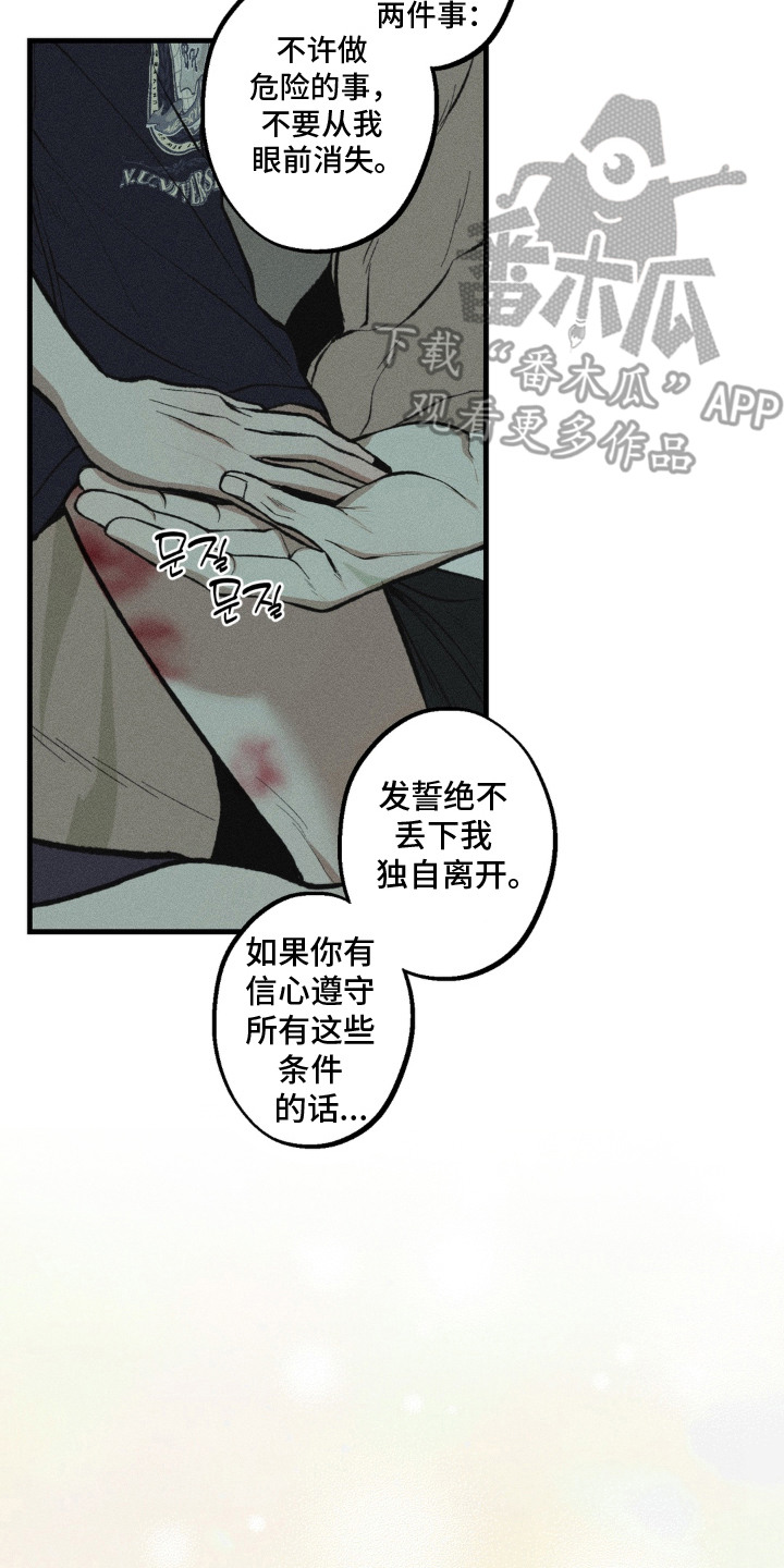 我的爬虫君漫画,第12章：决定收养3图