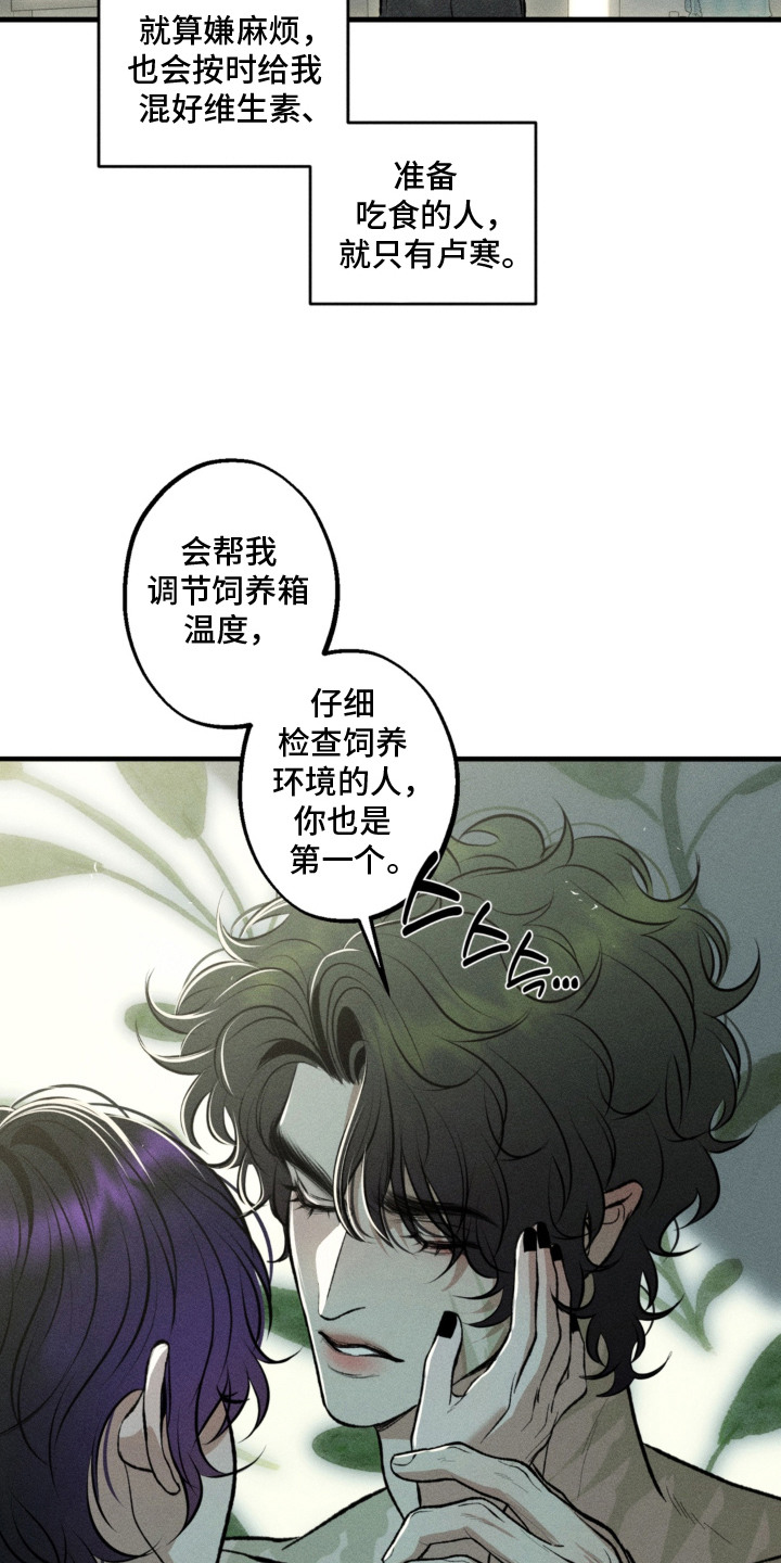 我的爬虫君漫画,第12章：决定收养2图