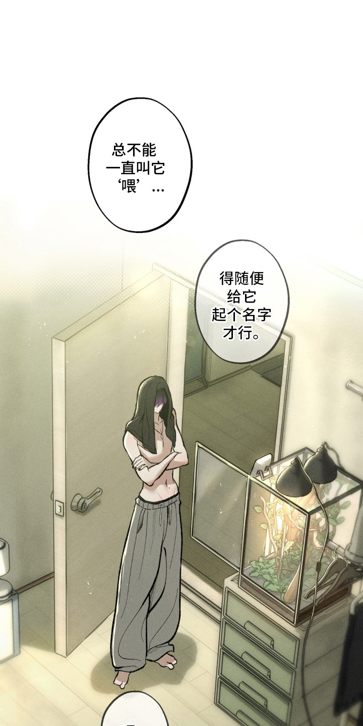 我的爬虫君漫画,第4章：蜜瓜1图