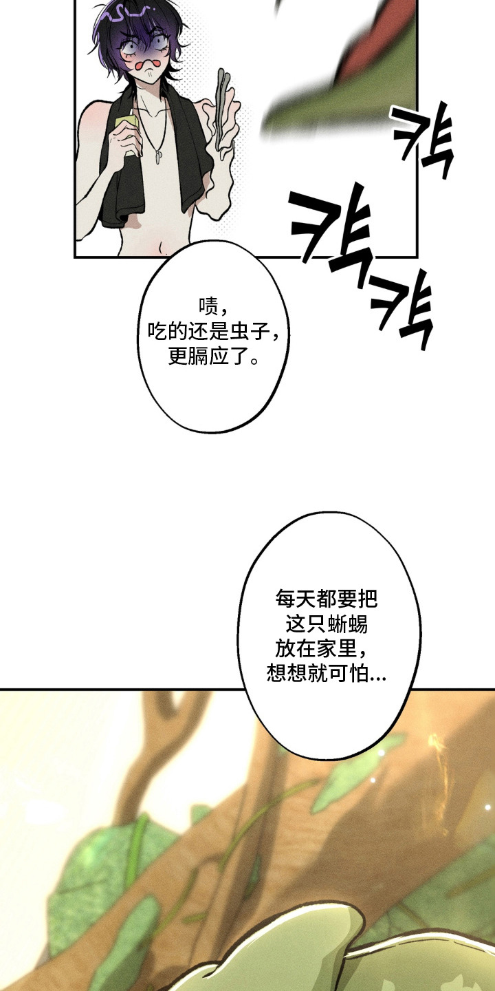 我的爬虫君漫画,第3章：怪梦4图