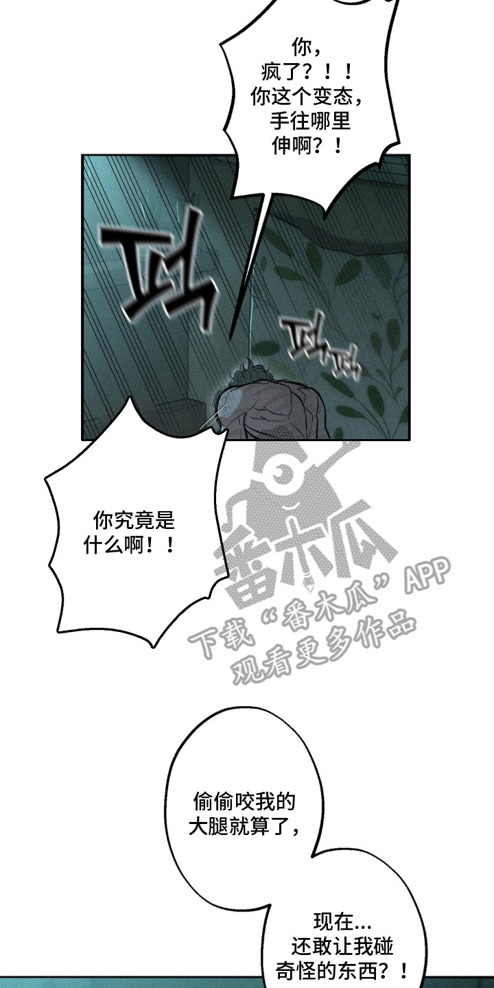 我的爬虫君漫画,第5章：搬家筹码2图
