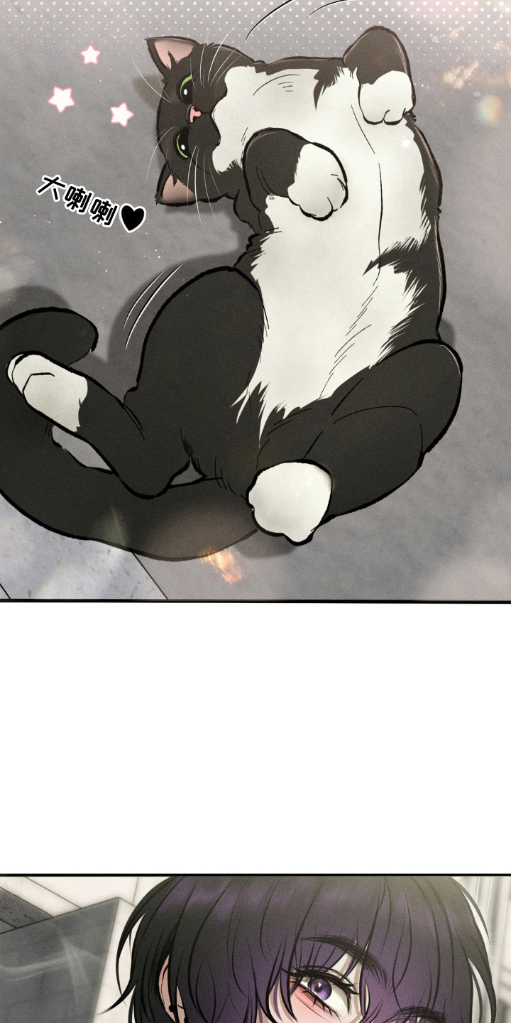 我的爬虫君漫画,第1章：拮据5图